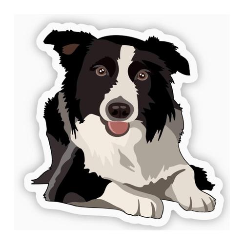 Border Collie Sticker