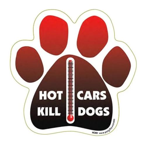Hot Car Magnet -Disc.