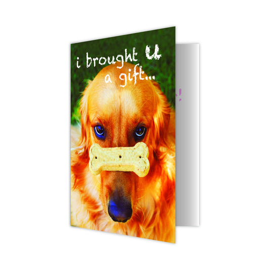 Pet Sitter - I Brought U A Gift