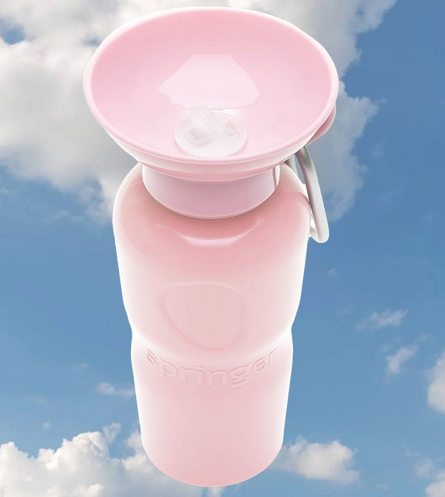 Springer Travel Bottle Leak-Tight 22oz