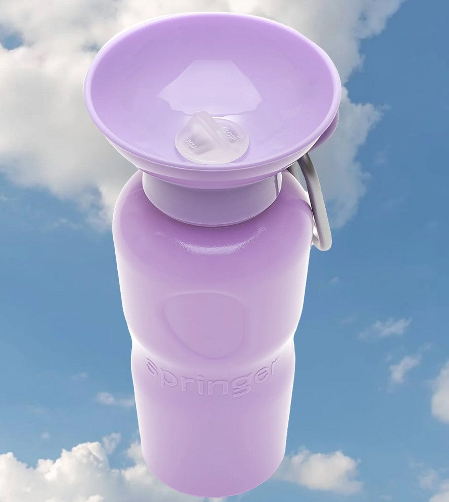 Springer Travel Bottle Leak-Tight 22oz
