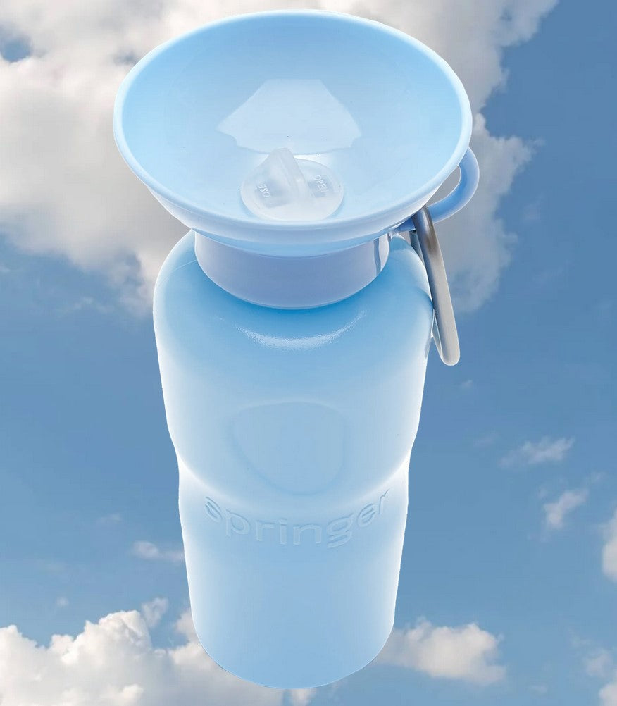 Springer Travel Bottle Leak-Tight 22oz