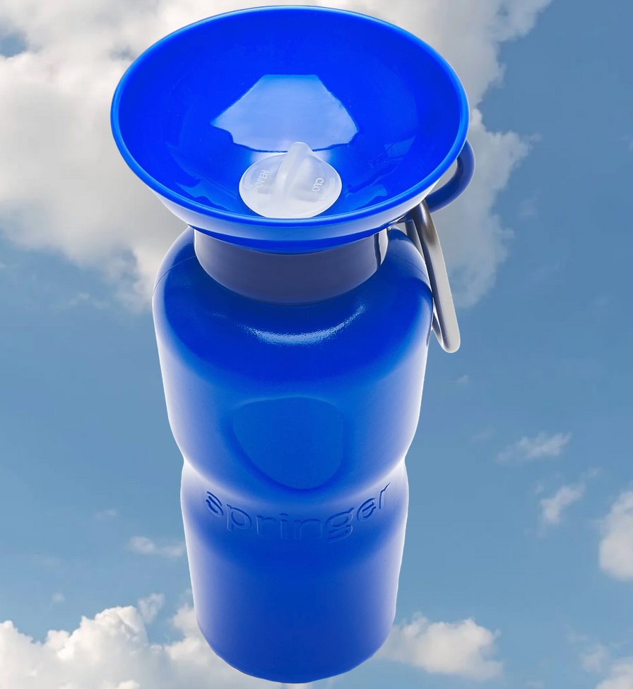 Springer Travel Bottle Leak-Tight 22oz