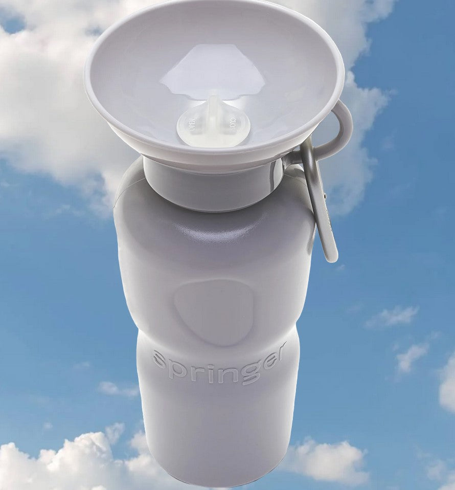 Springer Travel Bottle Leak-Tight 22oz