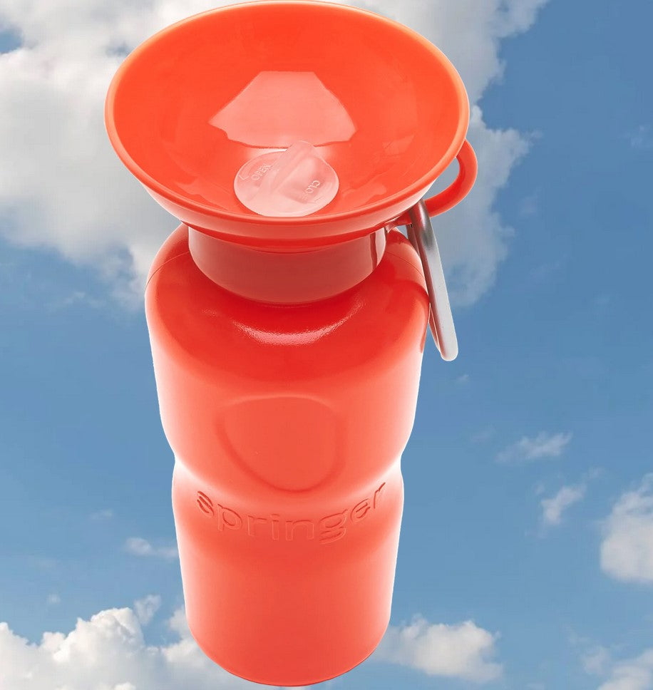 Springer Travel Bottle Leak-Tight 22oz