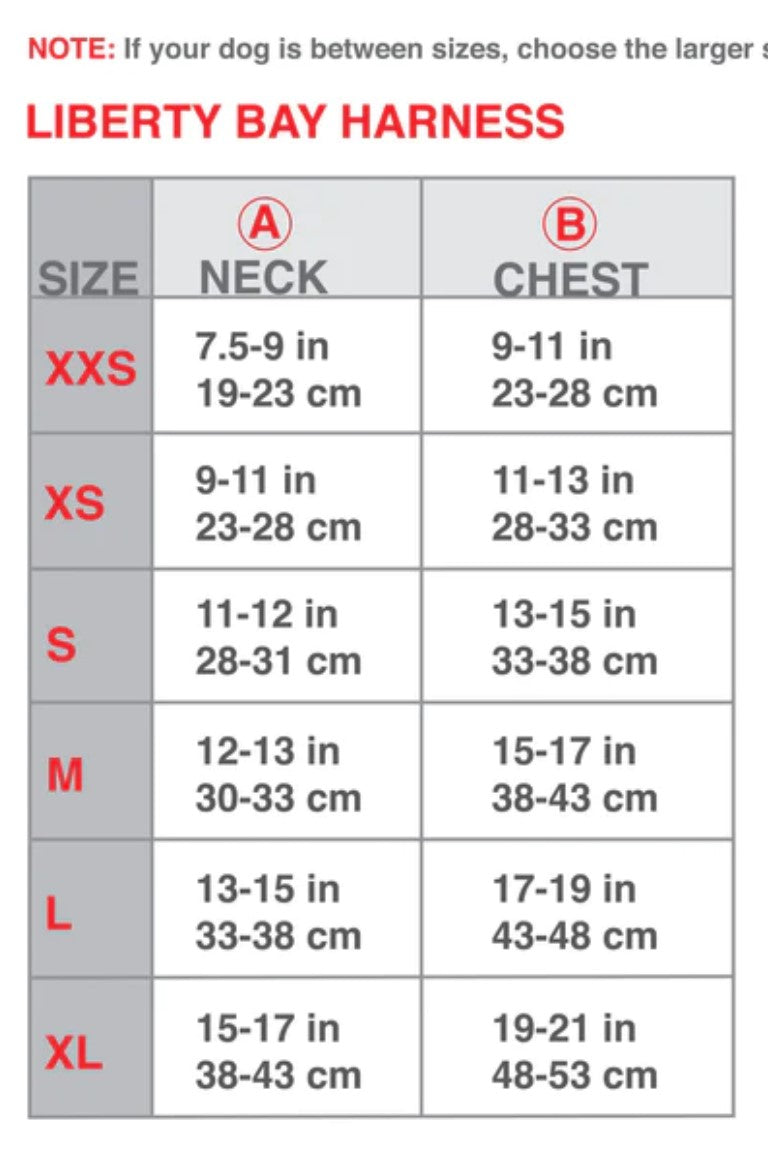 BayDog Liberty Bay Harness Lavender