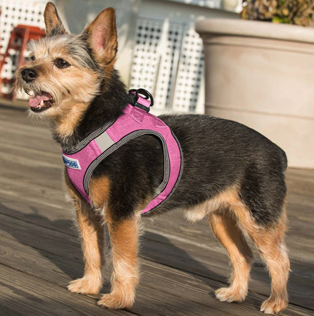 BayDog Liberty Bay Harness Pink