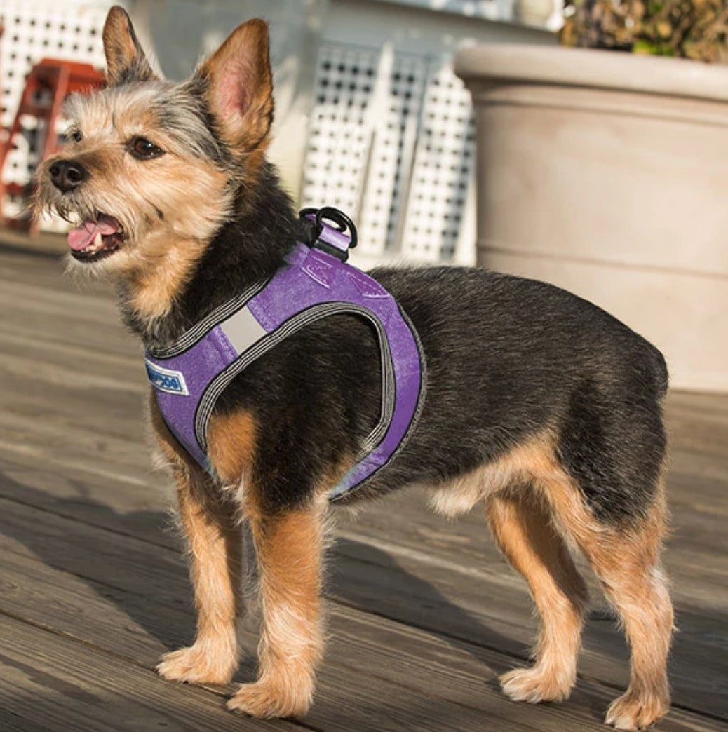 BayDog Liberty Bay Harness Lavender