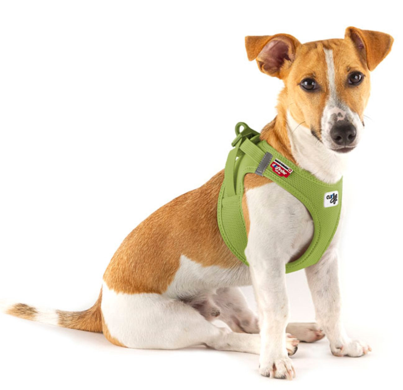 Curli Air-Mesh w/Curli Clasp Harness Sky Blue