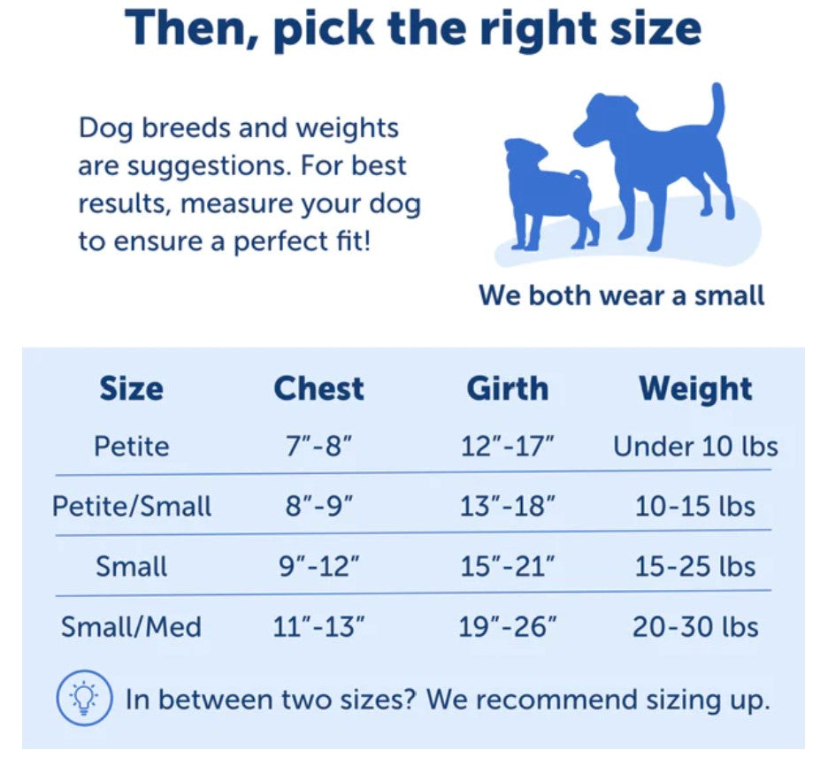Easy Walk No Pull Harness Red