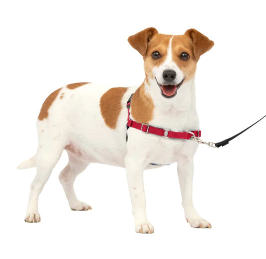 Easy Walk No Pull Harness Red