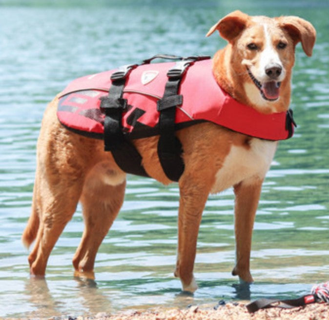 EzyDog Life Jacket Red
