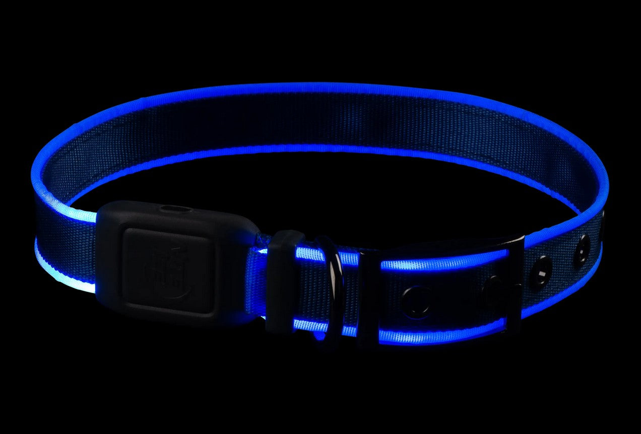 NiteIze NiteDog Rechargeable Collar Blue