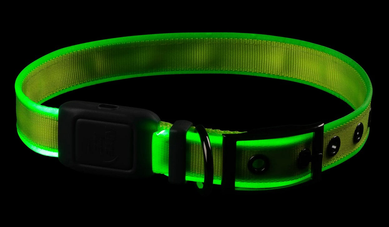 NiteIze NiteDog Rechargeable Collar Green