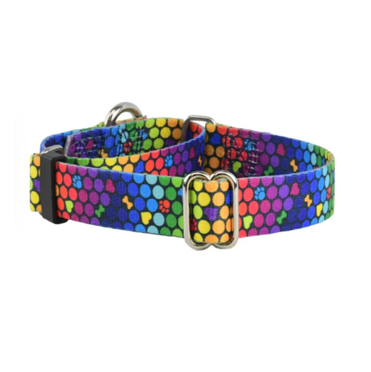 2 Hounds Martingale Collar Roy G Biv