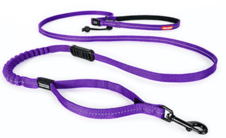 EzyDog Road Runner Lite - Several Colors Available