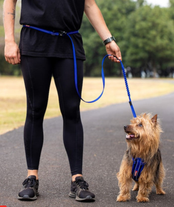 EzyDog Road Runner Lite - Several Colors Available