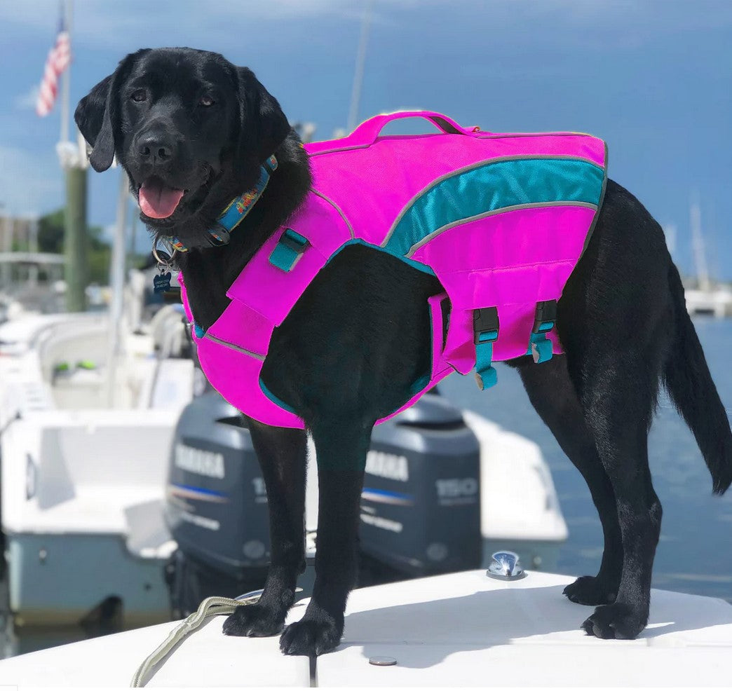 BayDog Monterey Bay Life Jacket Pink