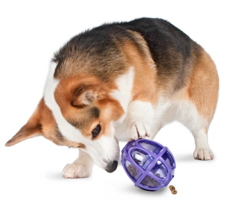 Busy Buddy Kibble Nibble