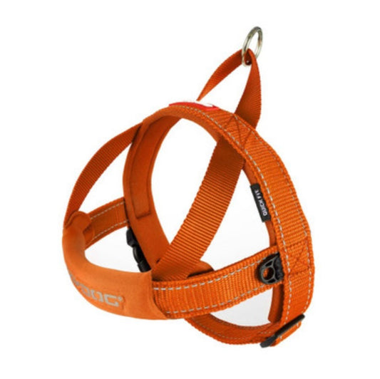 EzyDog Quick Fit Harness Orange