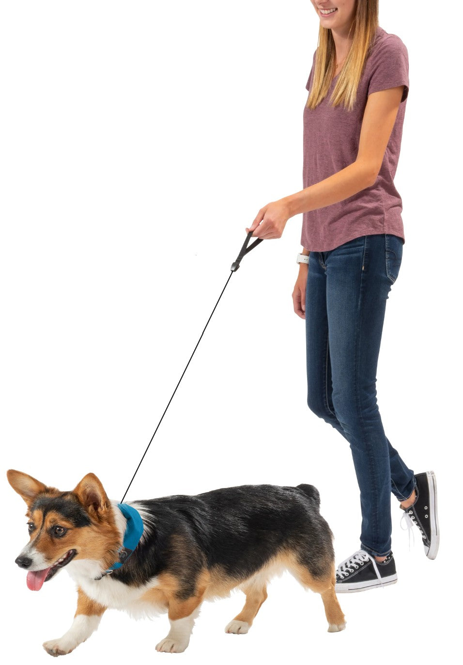 NiteIze RadDog Collar