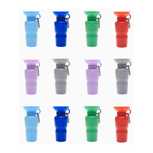 Springer Travel Bottle Leak-Tight 22oz