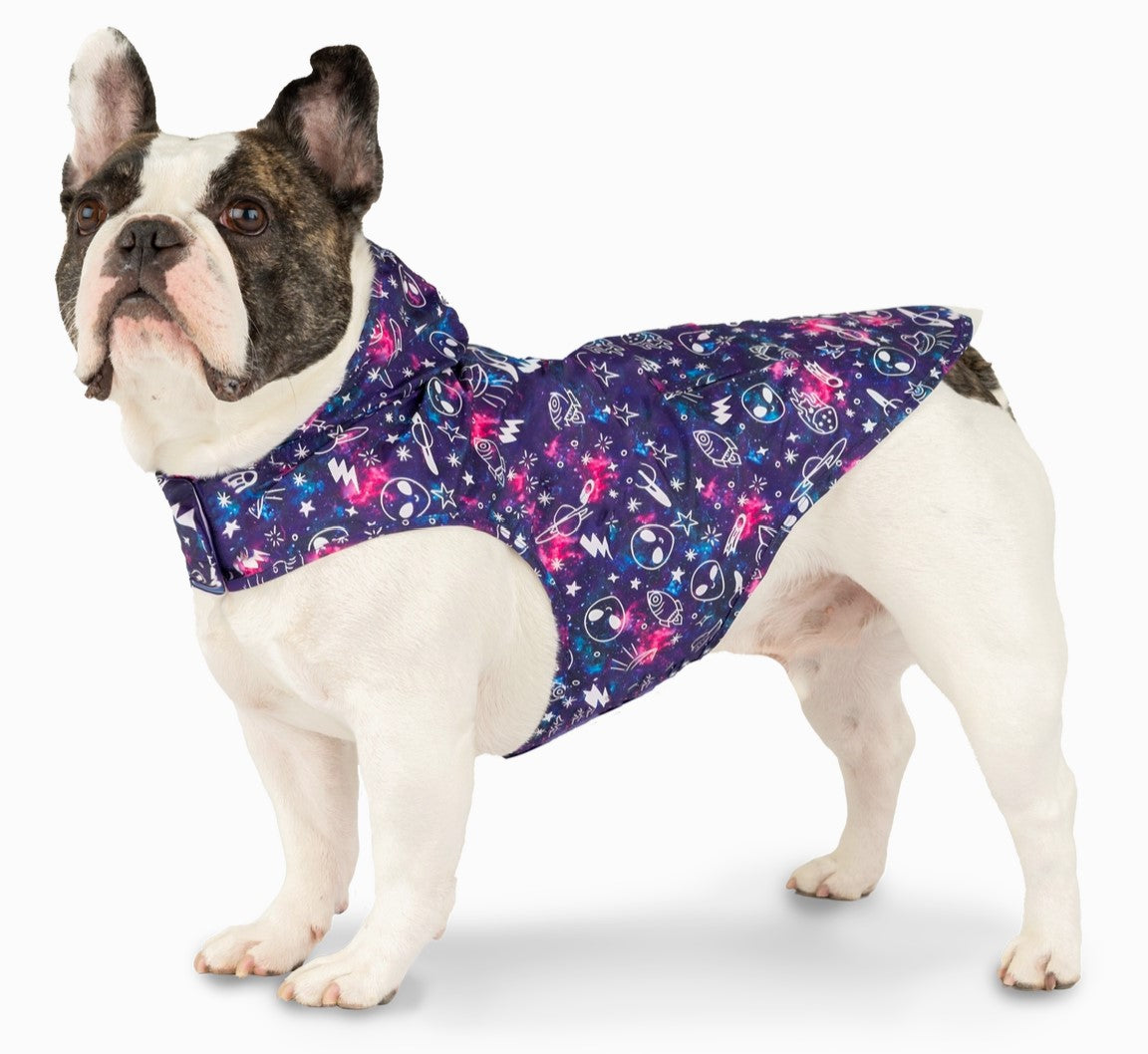 Canada Pooch Poncho Galaxy Glow in the Dark