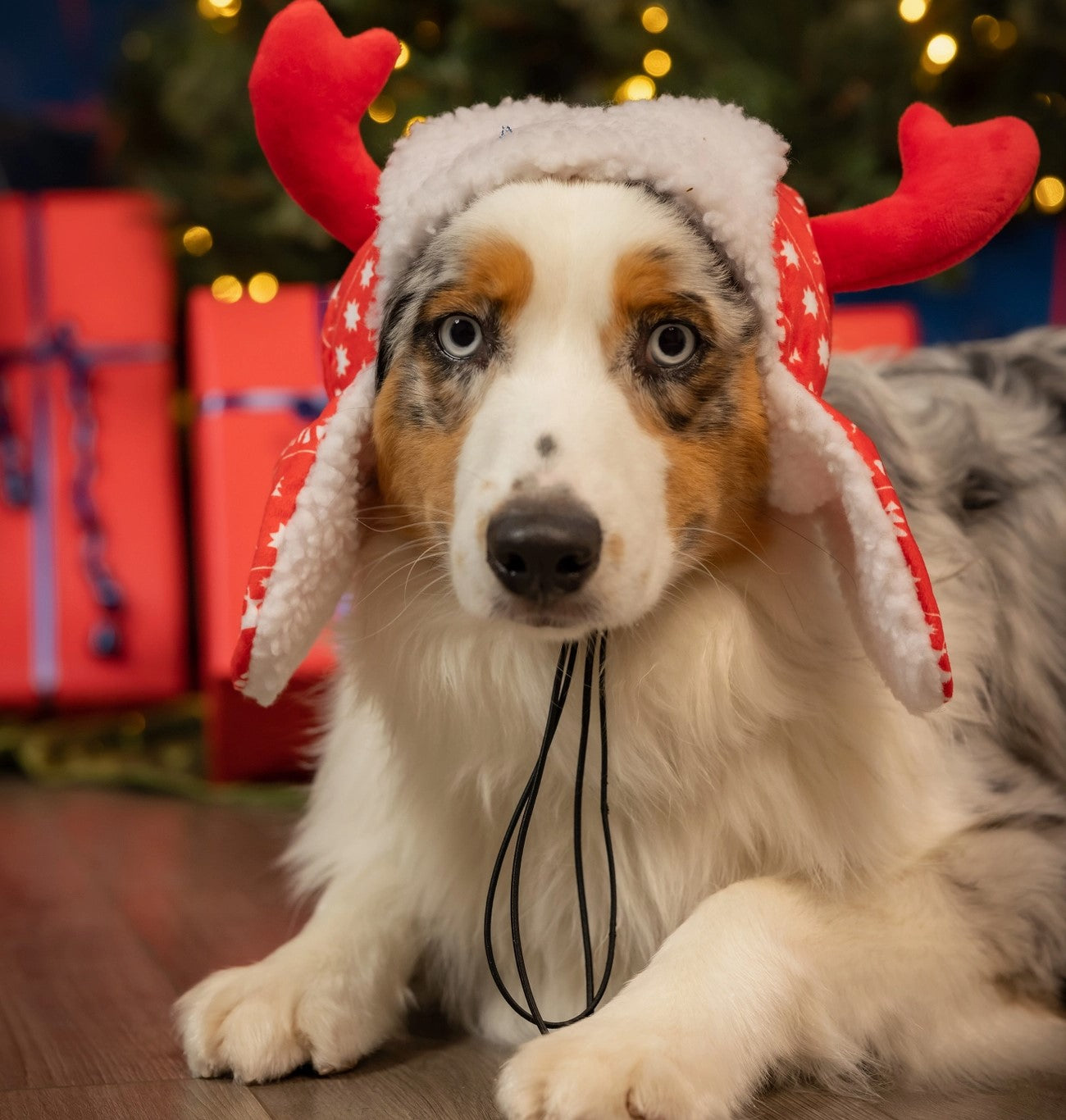 Huxley & Kent Holiday Antler Hat Red Fairisle