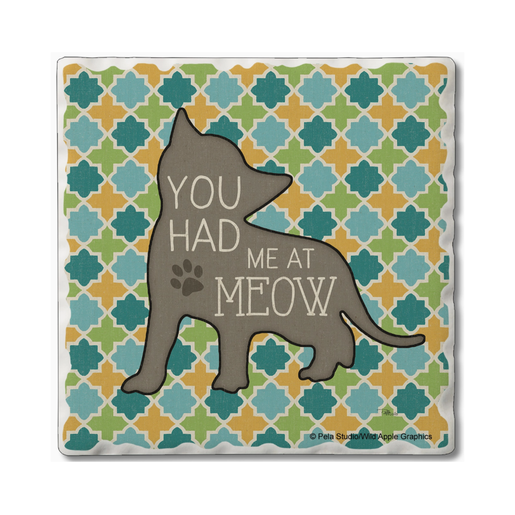 Had Me at Meow Coaster