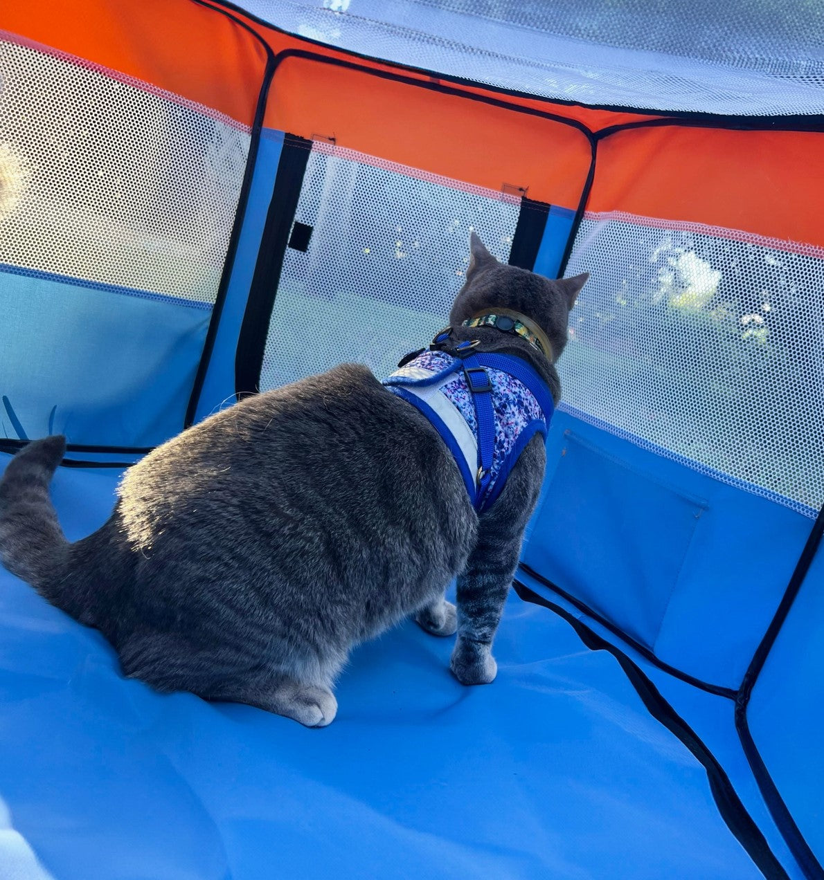 Travel Cat Portable Cat Play Tent