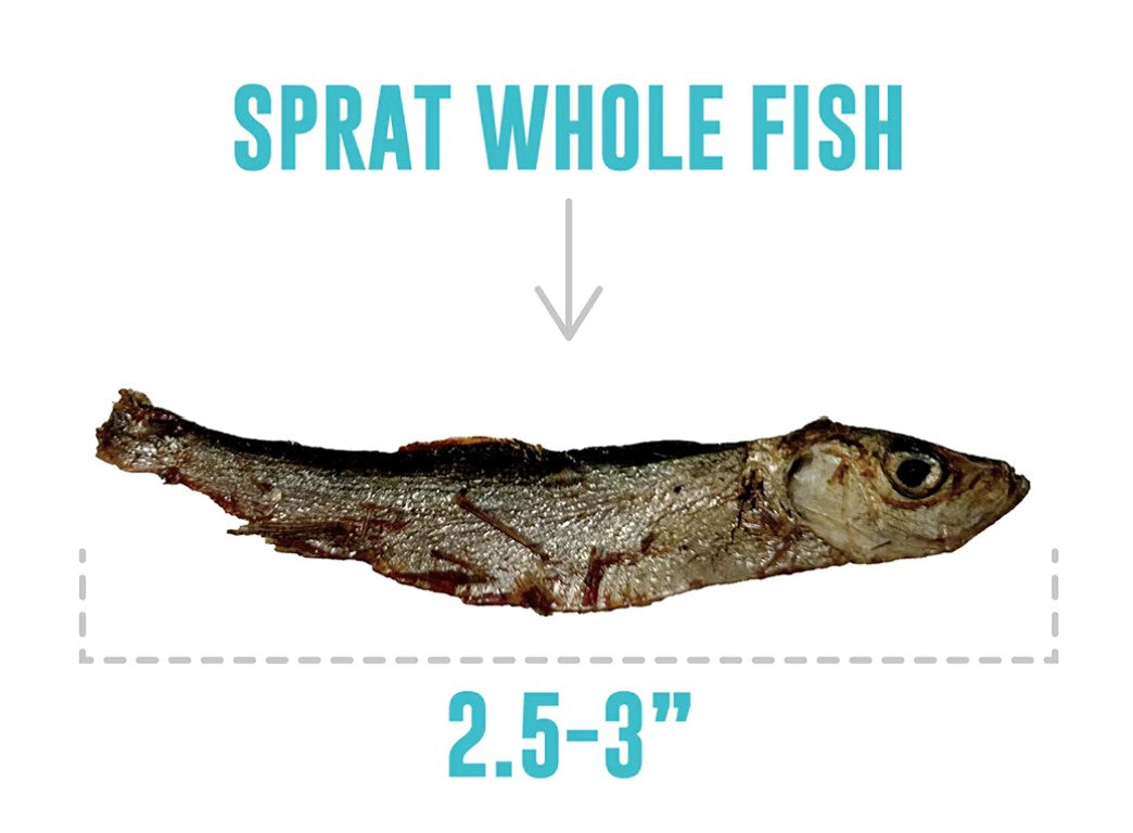 Icelandic Sprat 2oz