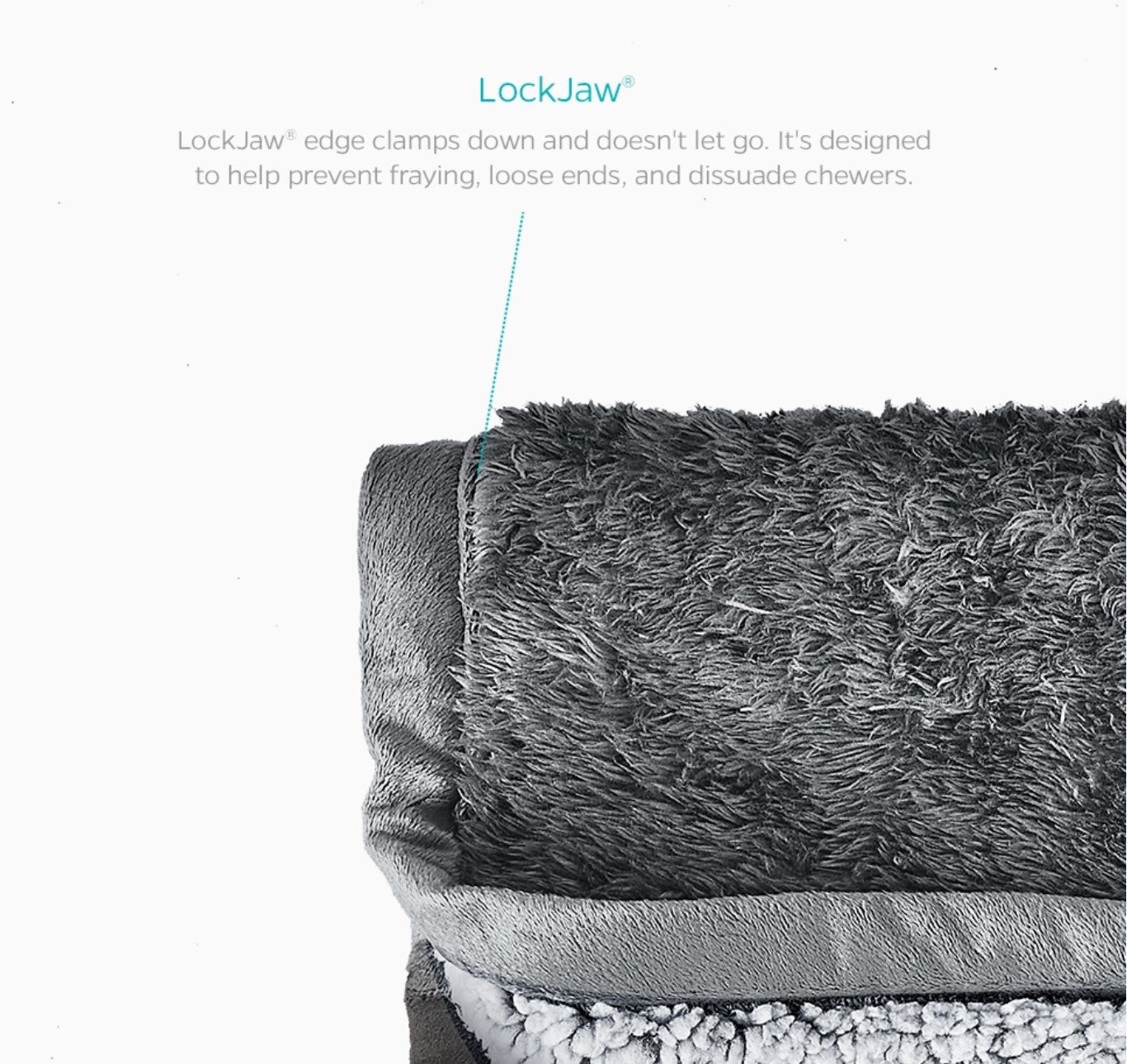 Pet Parents Pawtect Waterproof Blanket - Chocolate