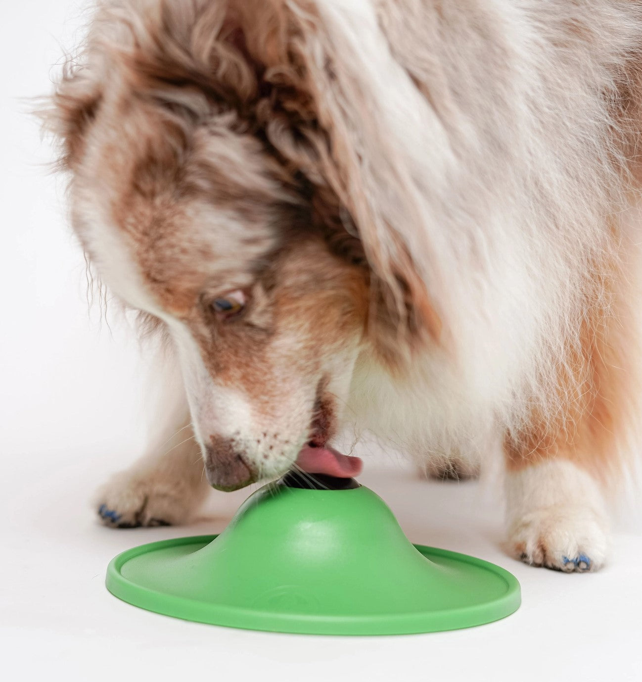 Stashios Soothing Saucer
