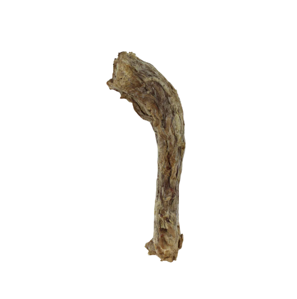 Turkey Neck Freeze-Dried