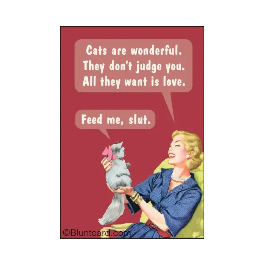 Cats are Wonderful. They Don't Judge Magnet