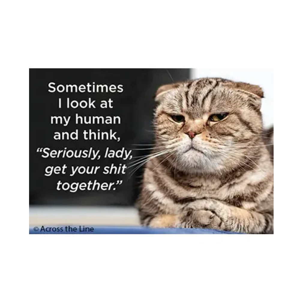 Sometime I Look at My Human Magnet