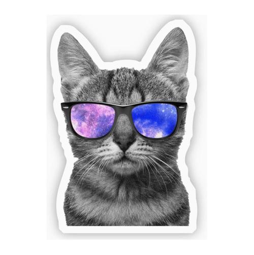 Cat w/Sunglasses Sticker
