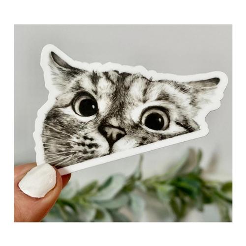Cat Peeking Sticker