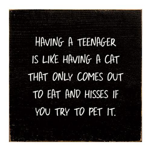 Having A Teen is Like Having A Cat Sign -Black