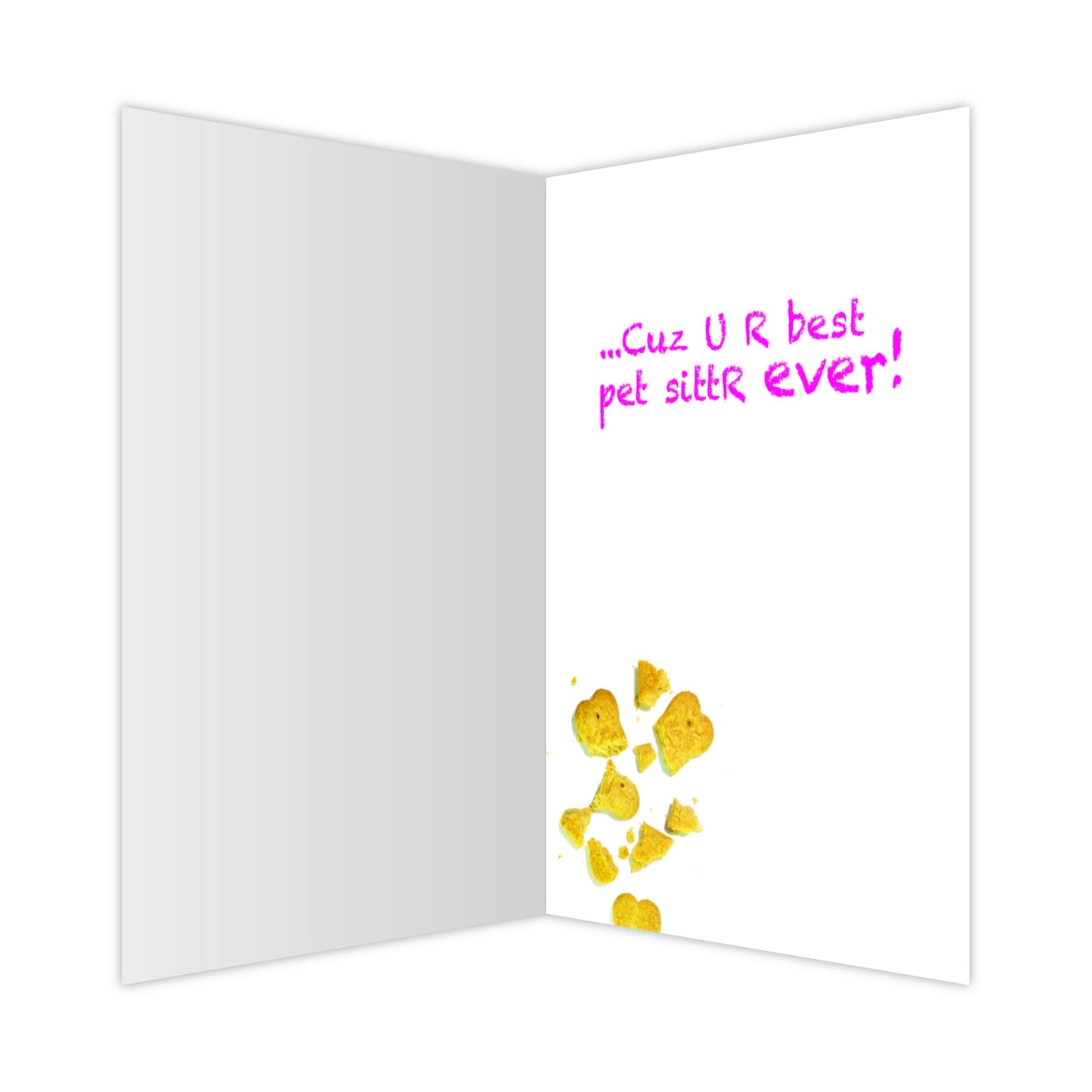 Pet Sitter - I Brought U A Gift