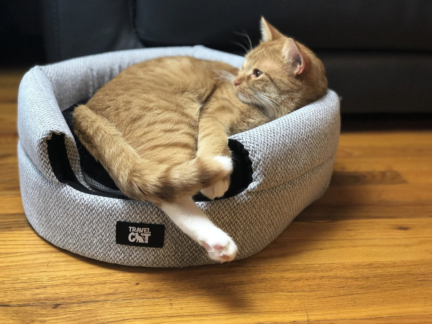 Travel Cat Meowbile Home