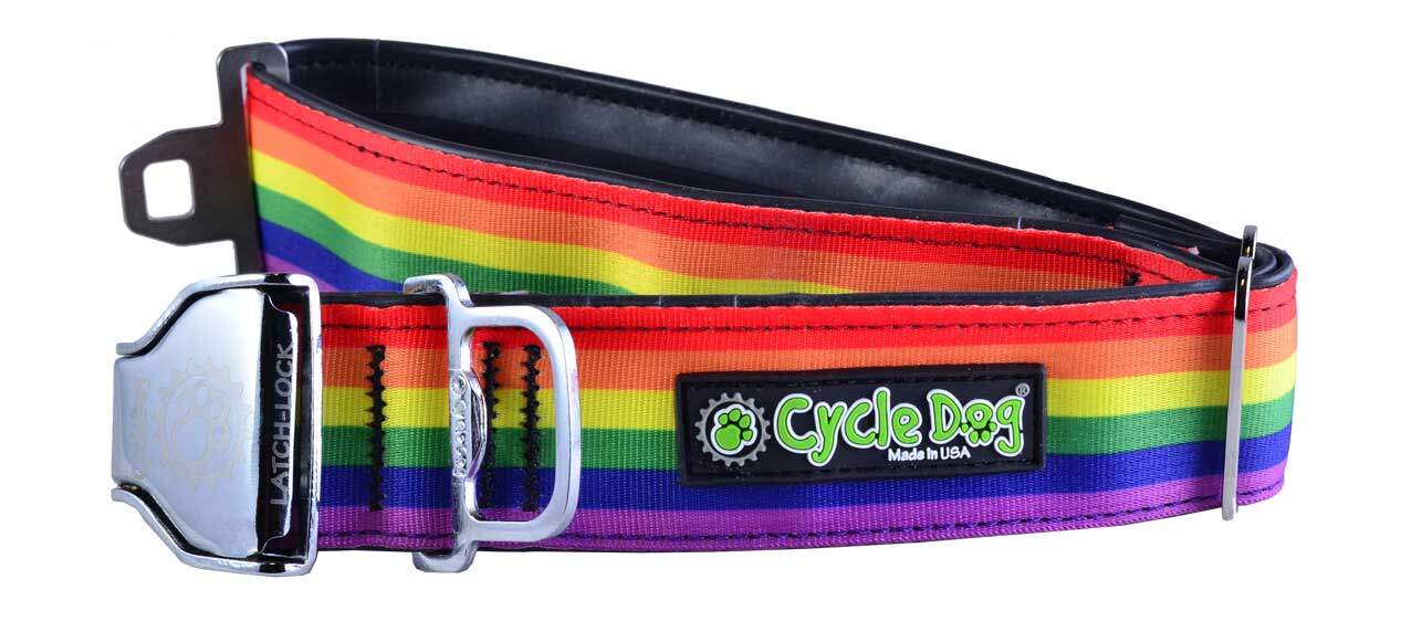 Rainbow striped dog collar with a visible brand logo