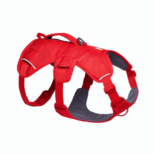 Red dog harness with gray padding 