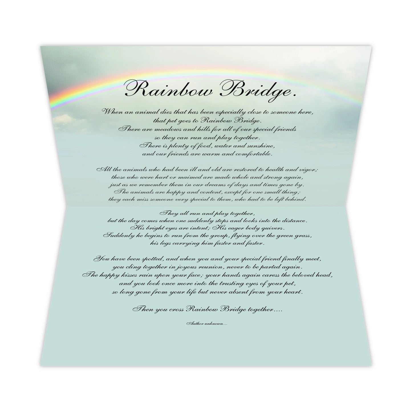 Sympathy - Rainbow Bridge