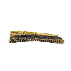Cod Flatties 4" -This & That