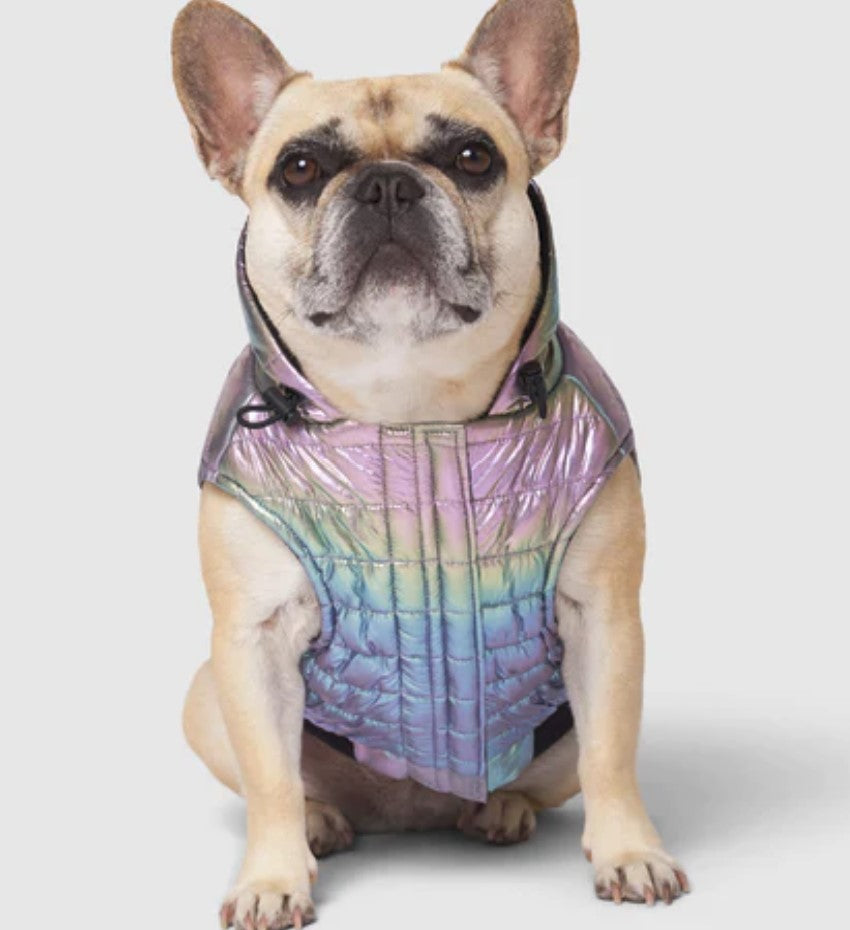 Canada Pooch Shiny Puffer Vest Iridescent