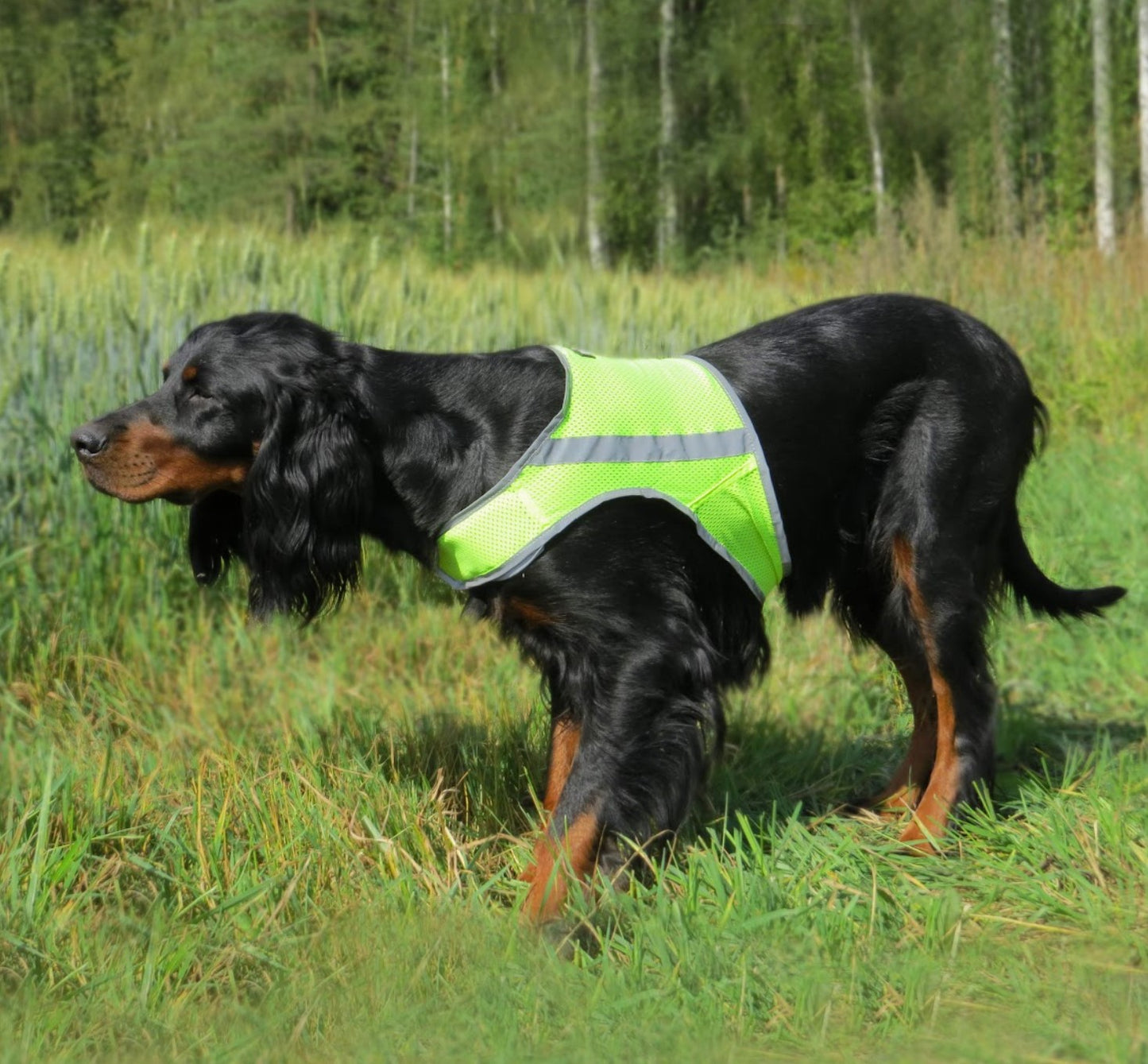 Finnero Attention Vest Yellow