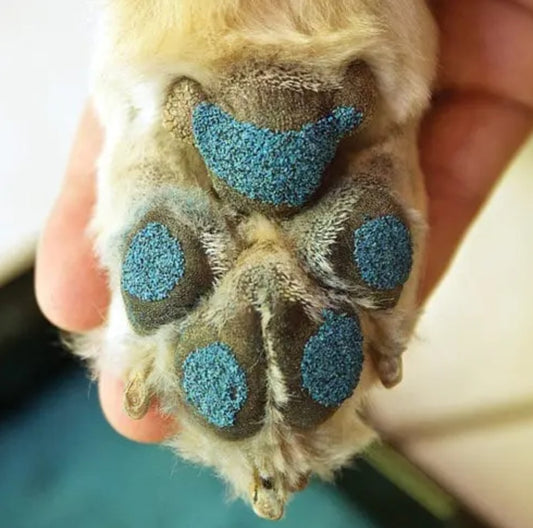 PawFriction