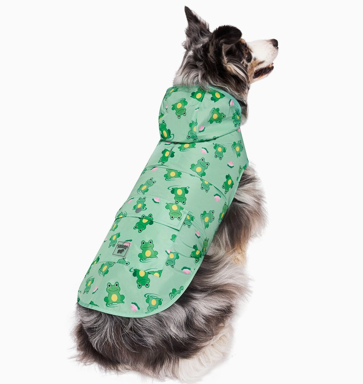 Canada Pooch Poncho Frogs