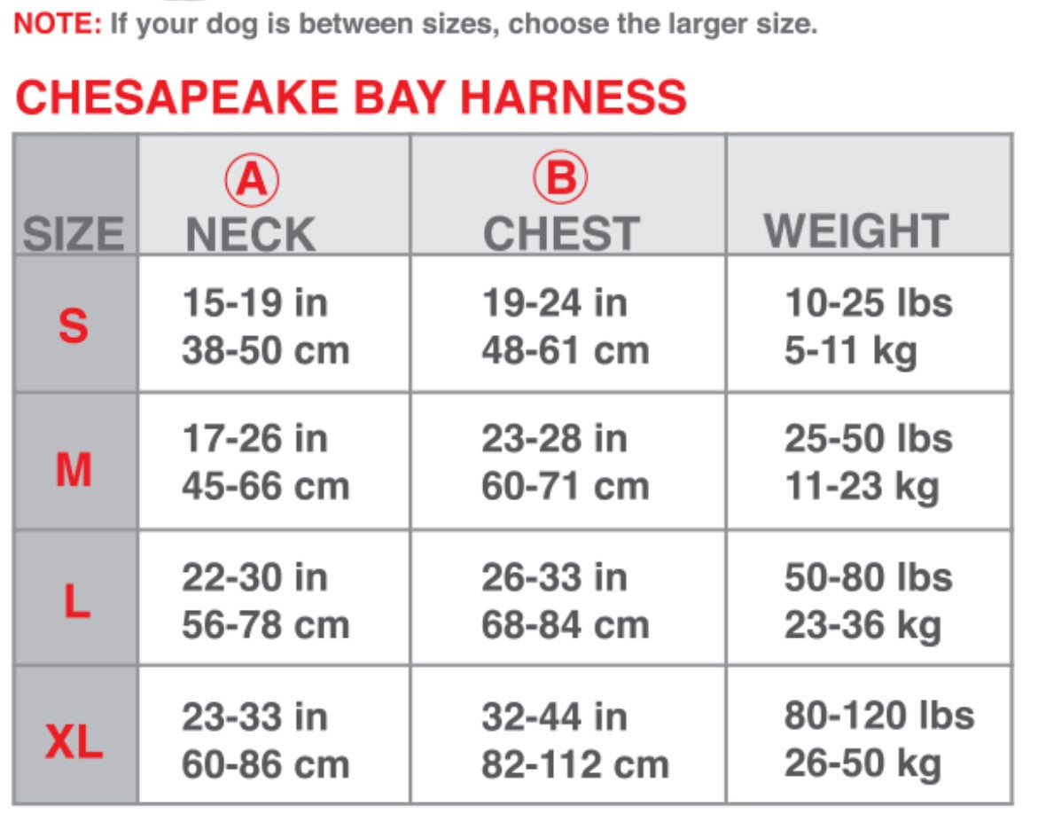 BayDog Chesapeake Harness Seafoam